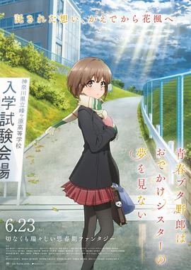 久久久一级片