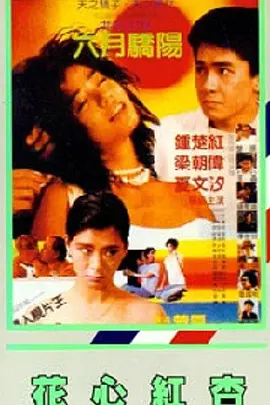 天天碰天天