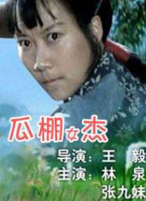 国产精品女人av