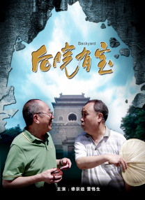 金瓶悔扬思敏版在线观看